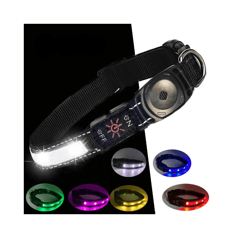 Collier chien lumineux | DogLuce : éclairant, conçu pour AirTag et étanche! - TOUTOU VOYAGEUR