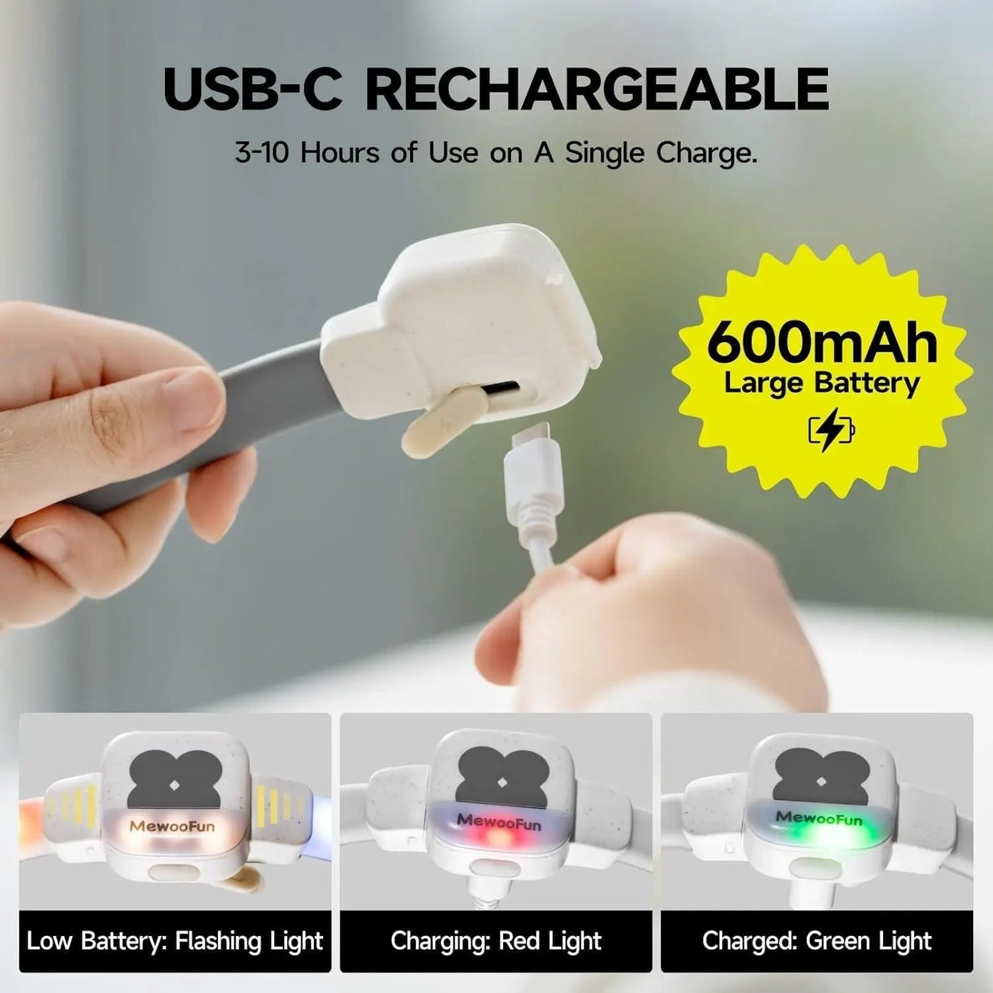 collier chien lumineux | LightEclair - TOUTOU VOYAGEUR