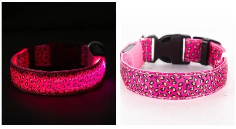 Colliers lumineux pour chiens | LumiRoow éclairer en mode léopard! - TOUTOU VOYAGEUR