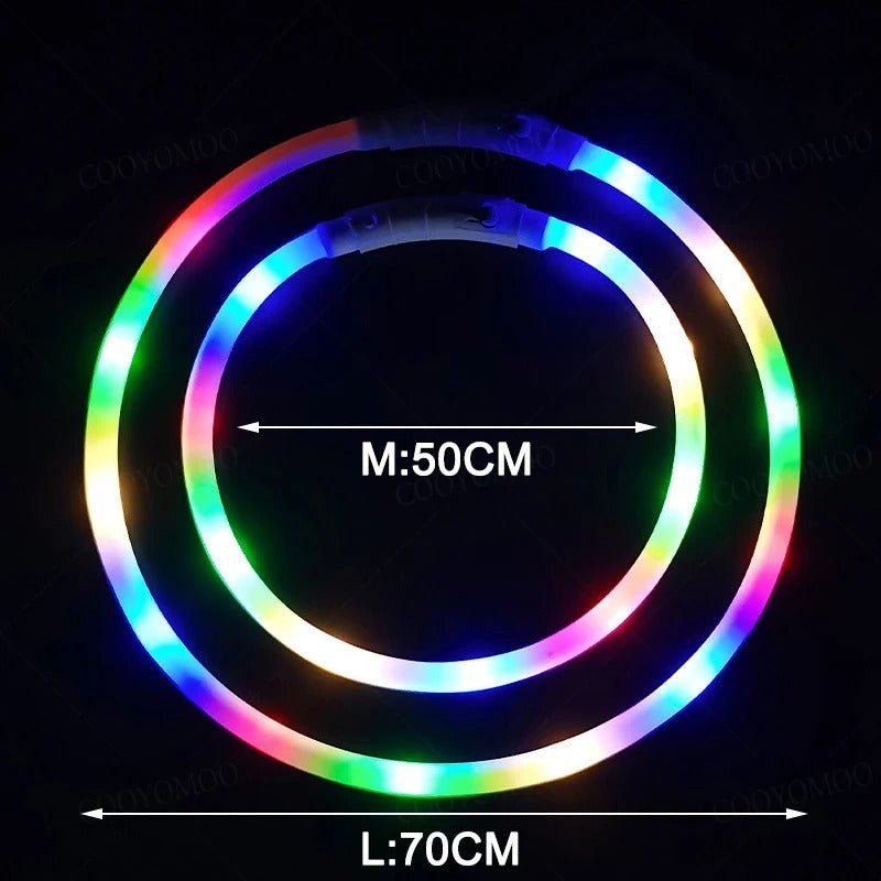 Colliers lumineux pour chiens | LumiShine luminescents et anti - perte! - TOUTOU VOYAGEUR