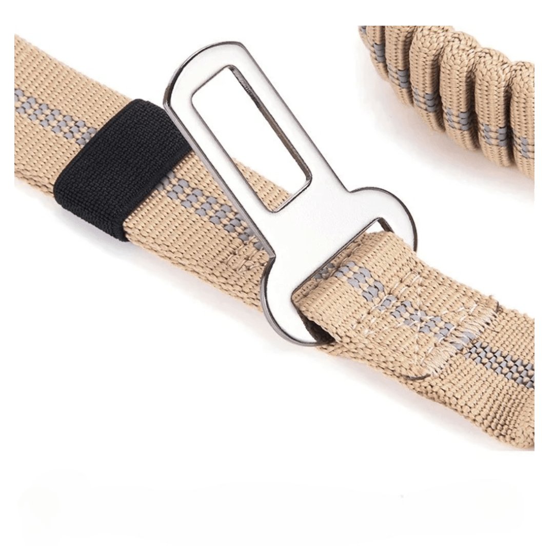 laisse chien | Dog - CarRex - TOUTOU VOYAGEUR