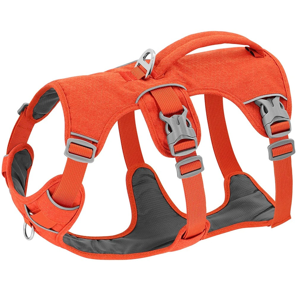 Harnais anti traction chien | CareDog