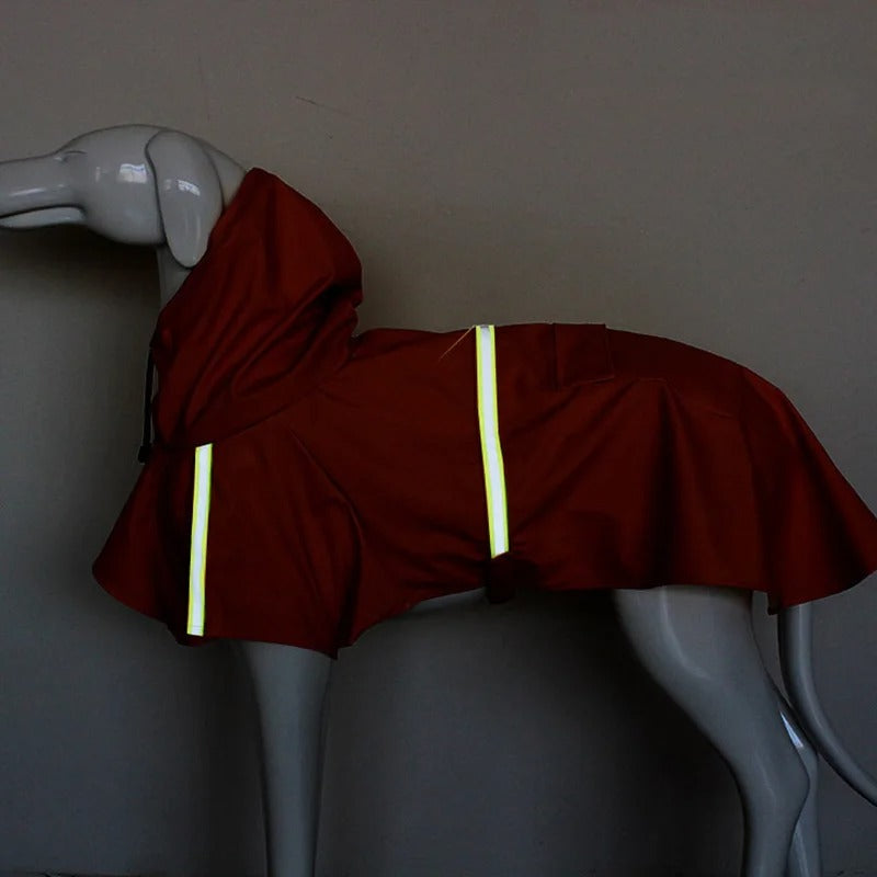 Manteau chien impermeable - RainCoat | Premium