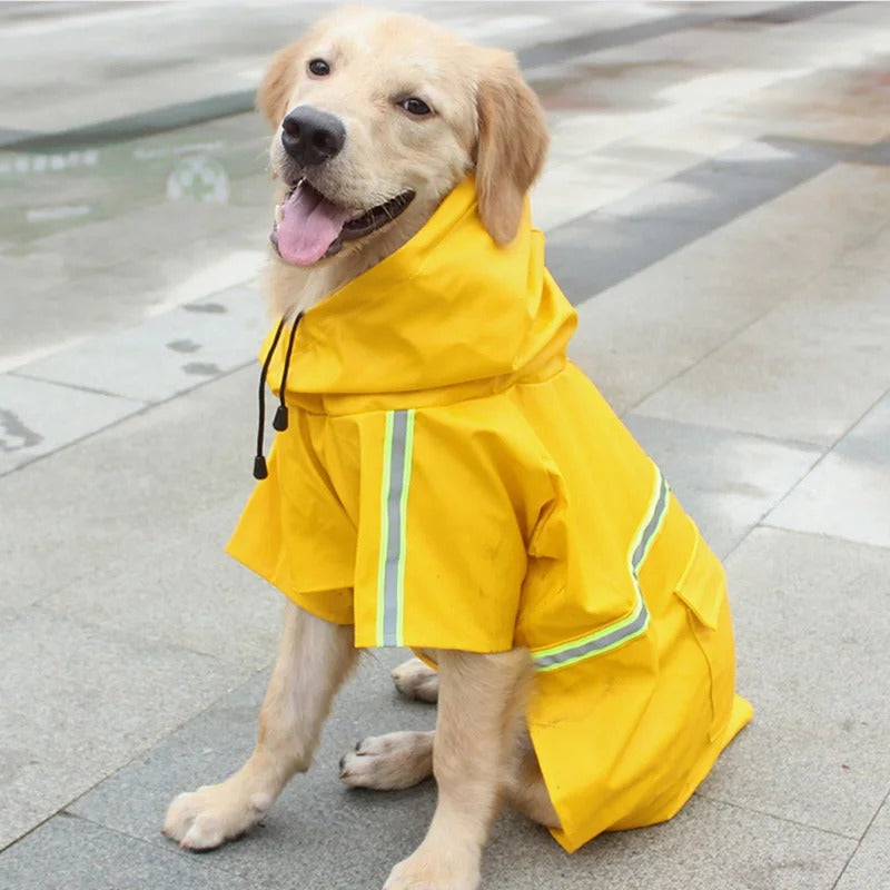 Manteau chien impermeable - RainCoat | Premium