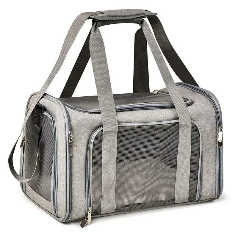 Chien sac de transport | Brisbane