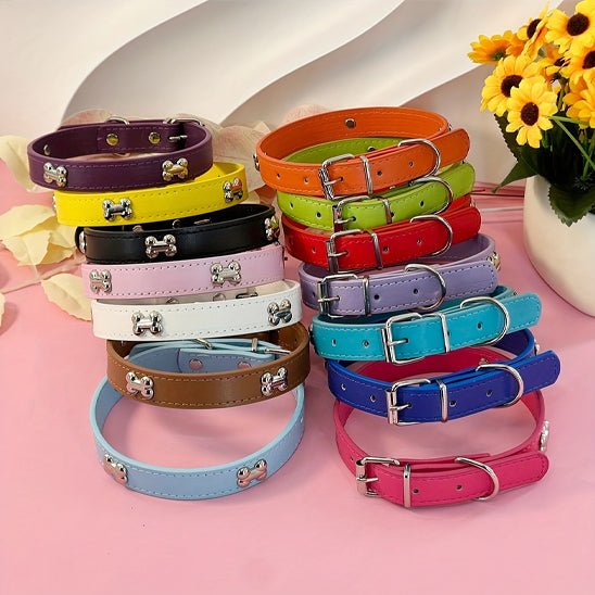 Collier chien | ColliSmart - TOUTOU VOYAGEUR