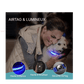 Collier chien lumineux | DogLuce : éclairant, conçu pour AirTag et étanche! - TOUTOU VOYAGEUR