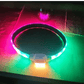 collier chien lumineux | LightEclair - TOUTOU VOYAGEUR