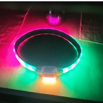 collier chien lumineux | LightEclair - TOUTOU VOYAGEUR