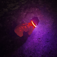 collier chien lumineux | LightEclair - TOUTOU VOYAGEUR