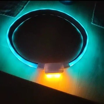 collier chien lumineux | LightEclair - TOUTOU VOYAGEUR