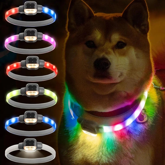 collier chien lumineux | LightEclair - TOUTOU VOYAGEUR