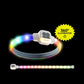 Collier chien lumineux | LightEclair