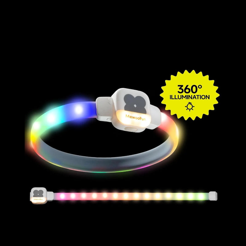 Collier chien lumineux | LightEclair