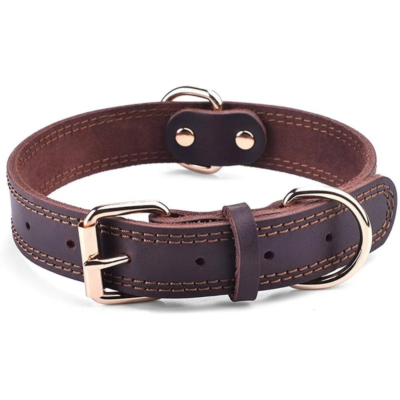Collier cuir pour chien | ForestCollar