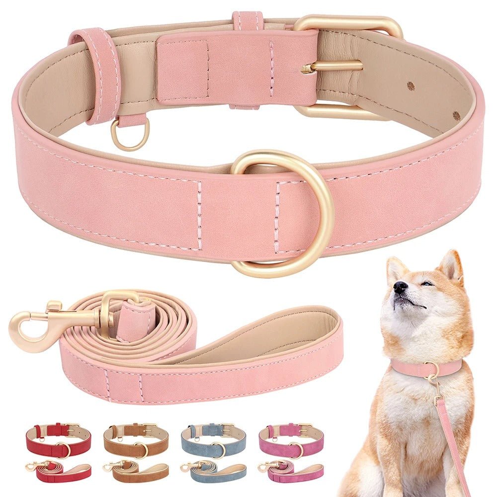 Collier cuir pour chien et sa laisse | BubbleCollar - TOUTOU VOYAGEUR