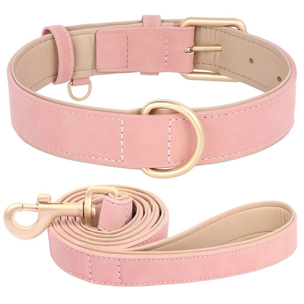Collier cuir pour chien et sa laisse | BubbleCollar - TOUTOU VOYAGEUR