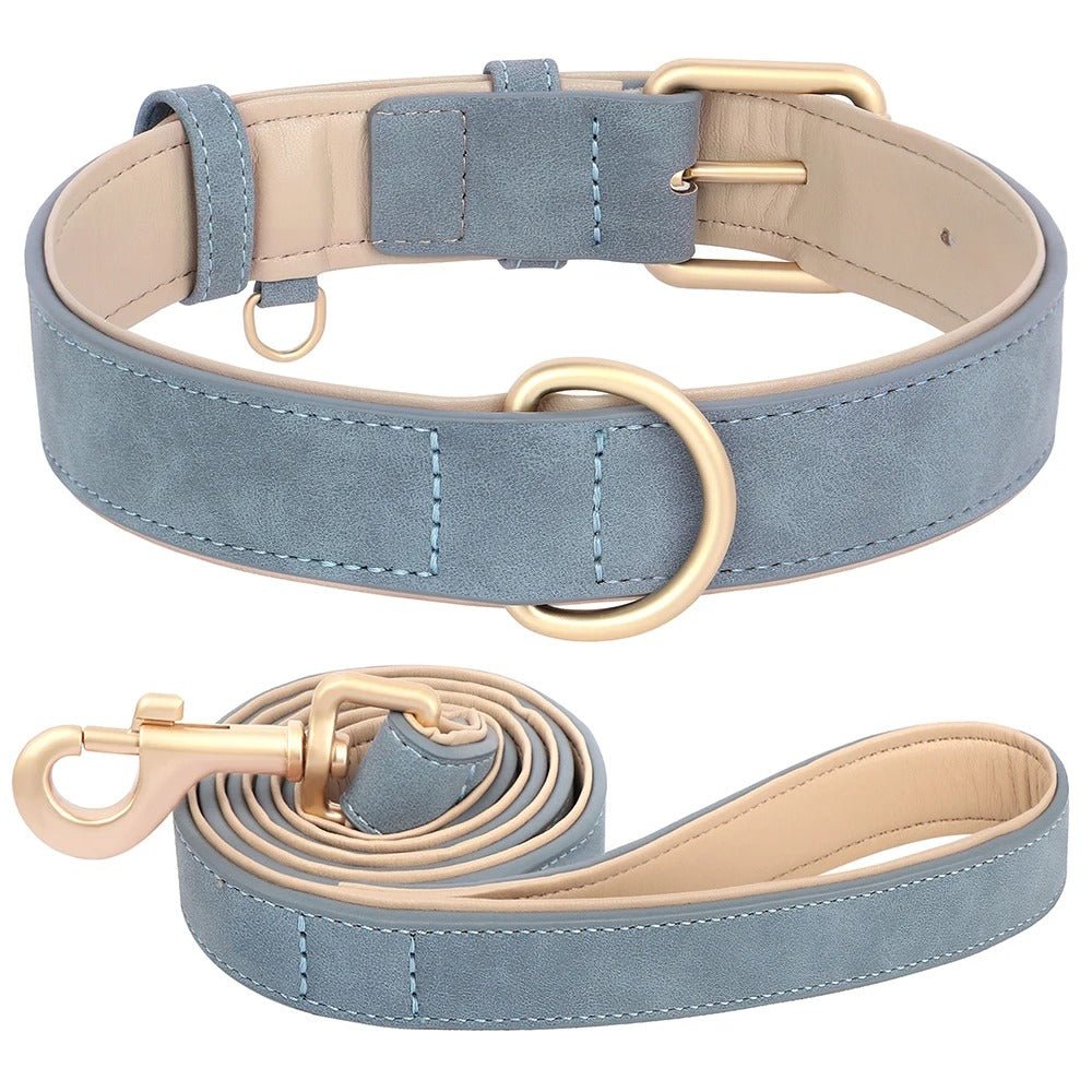Collier cuir pour chien et sa laisse | BubbleCollar - TOUTOU VOYAGEUR