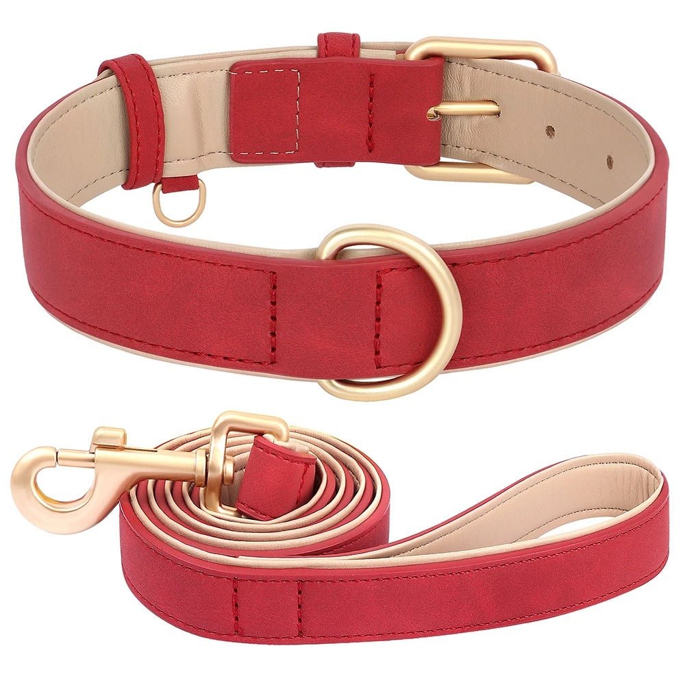 Collier cuir pour chien et sa laisse | BubbleCollar - TOUTOU VOYAGEUR