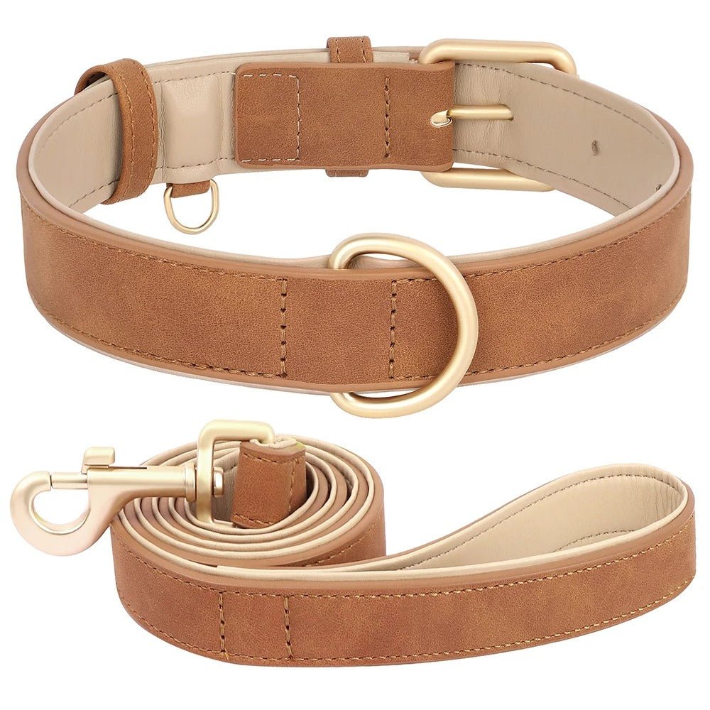 Collier cuir pour chien et sa laisse | BubbleCollar - TOUTOU VOYAGEUR