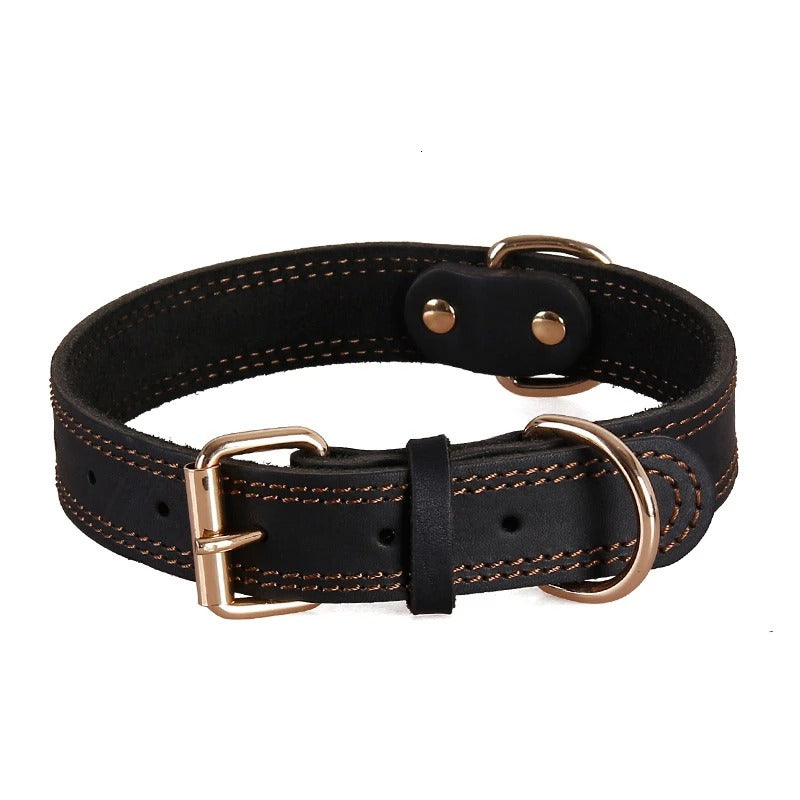 Collier cuir pour chien | ForestCollar