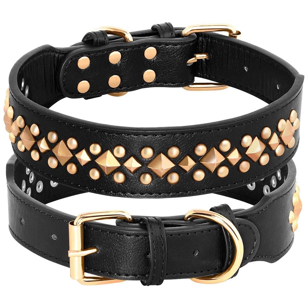 Collier en cuir pour chien | EtnikCollar - TOUTOU VOYAGEUR