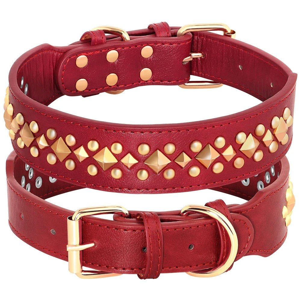 Collier en cuir pour chien | EtnikCollar - TOUTOU VOYAGEUR
