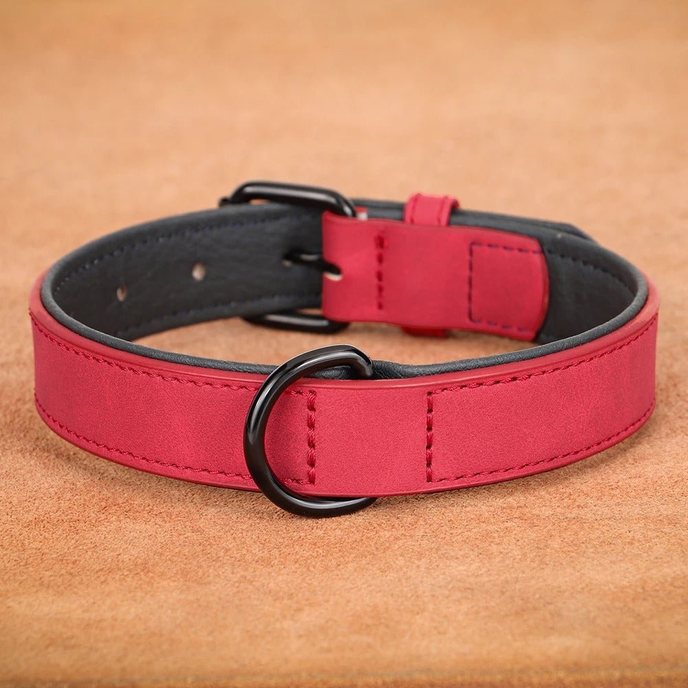 Collier en cuir pour chien | NatuDidog - TOUTOU VOYAGEUR