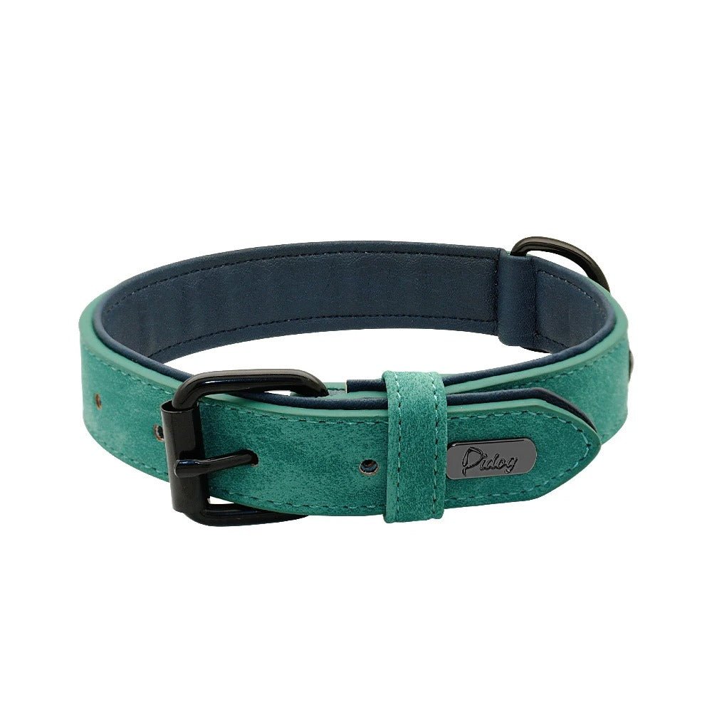 Collier en cuir pour chien | NatuDidog - TOUTOU VOYAGEUR