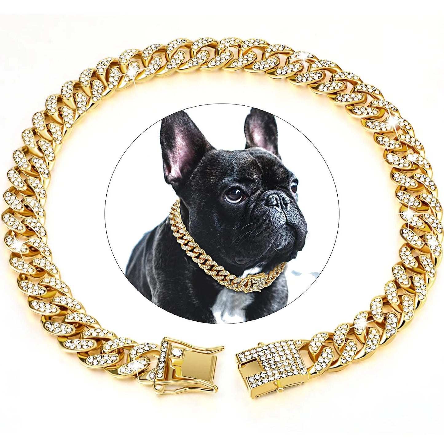 Collier pour chien | KingCollar - TOUTOU VOYAGEUR