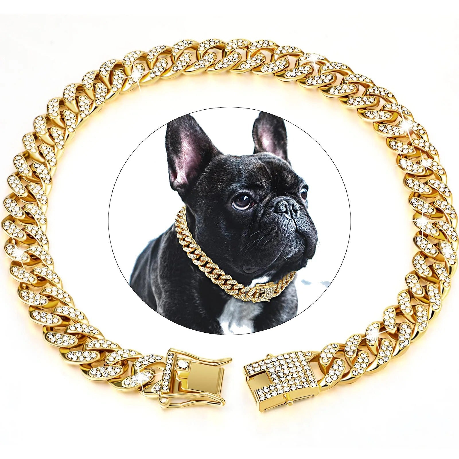 Collier pour chien | KingCollar - TOUTOU VOYAGEUR