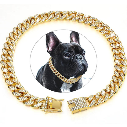 Collier pour chien | KingCollar - TOUTOU VOYAGEUR