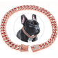 Collier pour chien | KingCollar - TOUTOU VOYAGEUR