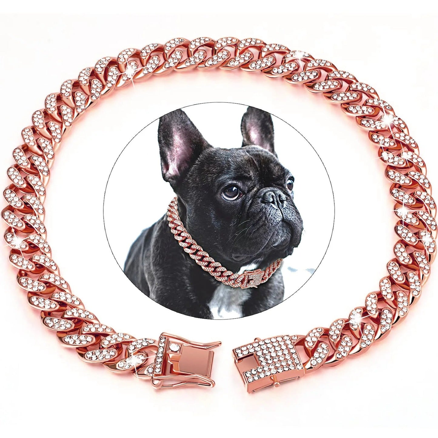 Collier pour chien | KingCollar - TOUTOU VOYAGEUR