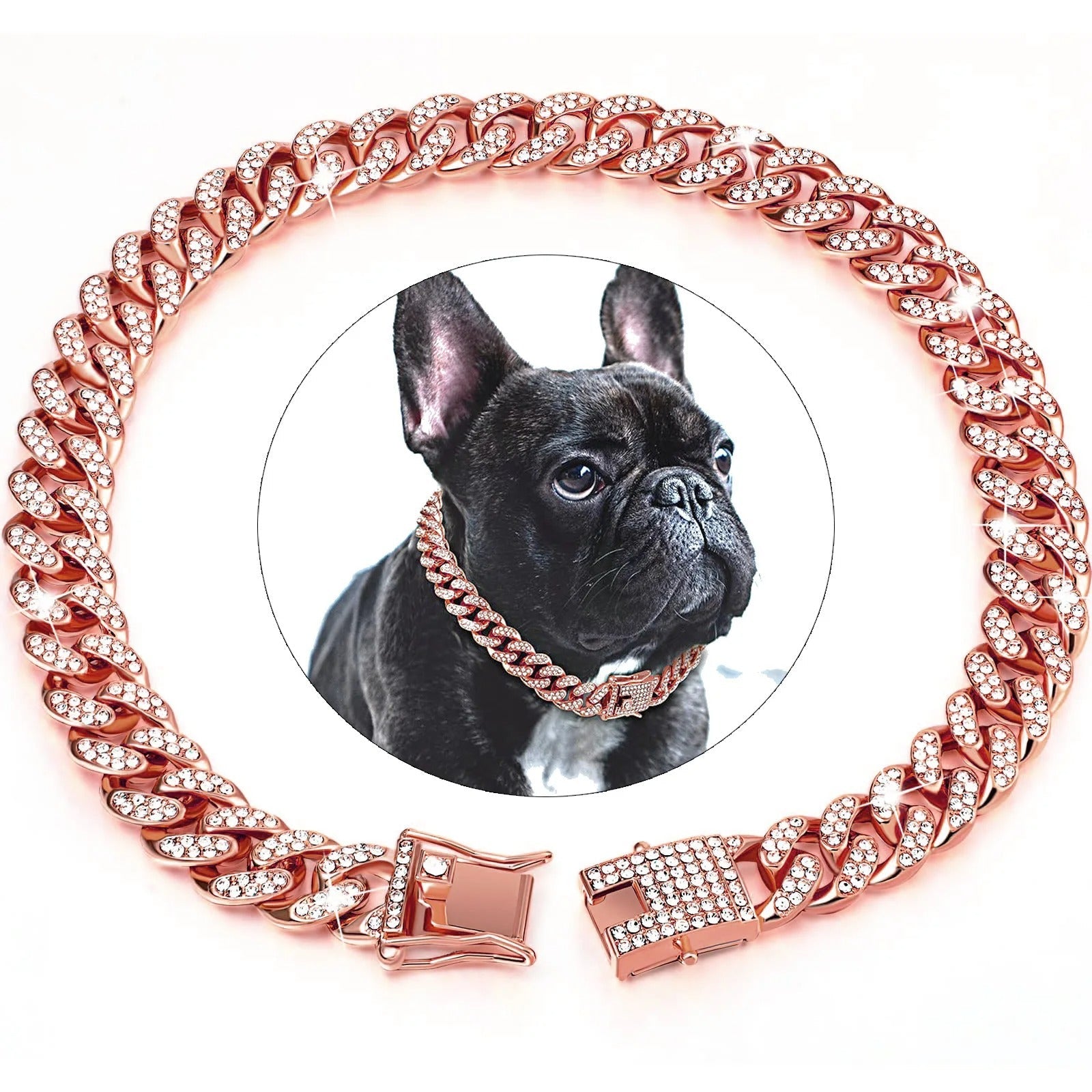 Collier pour chien | KingCollar - TOUTOU VOYAGEUR