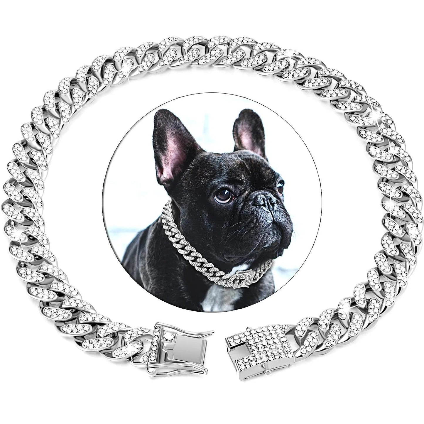 Collier pour chien | KingCollar - TOUTOU VOYAGEUR