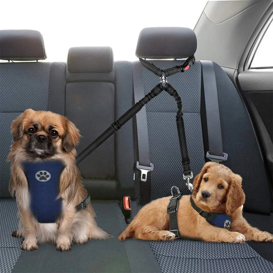 Laisse chiens double | CarFriends