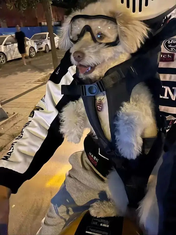 Sac a dos chiens | MobilPack