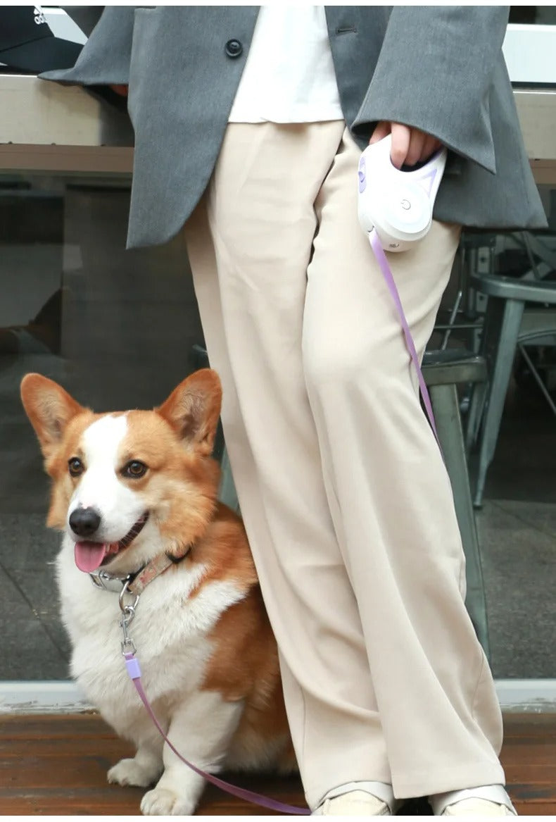 Laisse à enrouler pour chien | Brinny