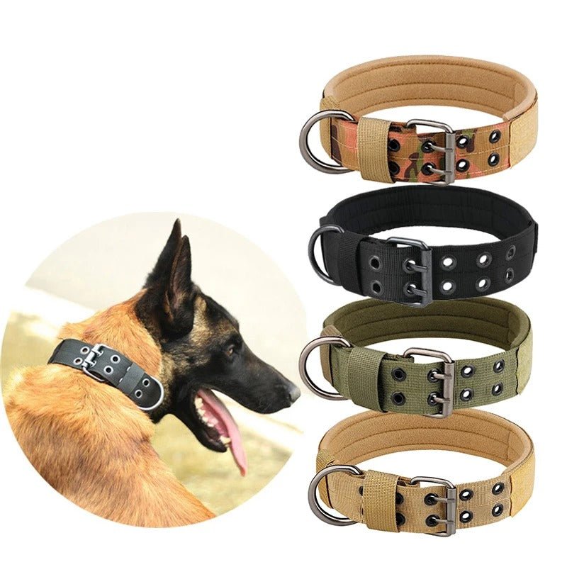 DogForce™ : La solution incroyable pour un dressage efficace et en douceur - TOUTOU VOYAGEUR
