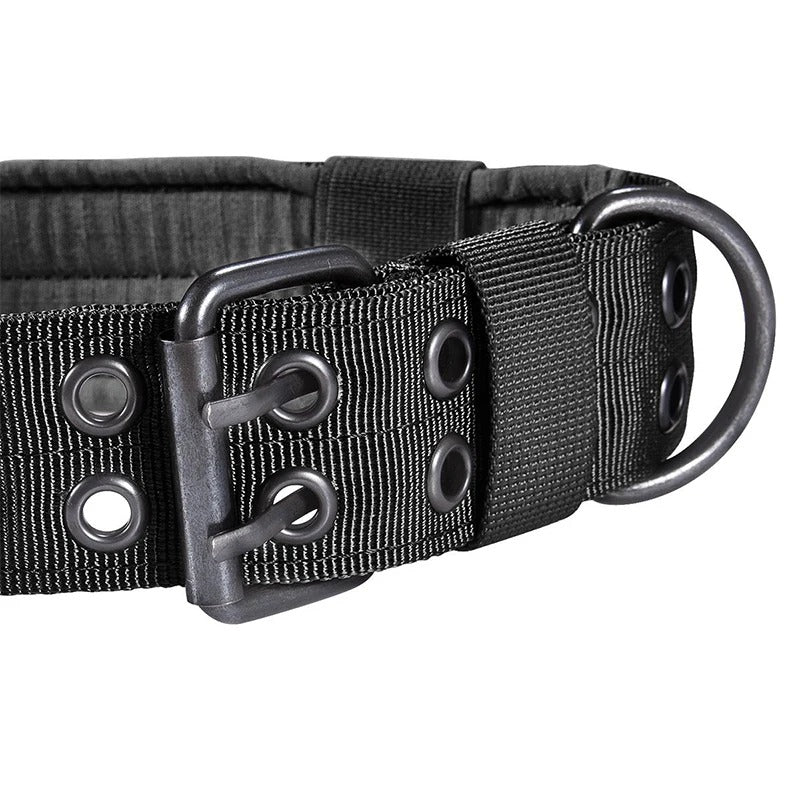 DogForce™ : La solution incroyable pour un dressage efficace et en douceur - TOUTOU VOYAGEUR