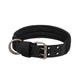DogForce™ : La solution incroyable pour un dressage efficace et en douceur - TOUTOU VOYAGEUR