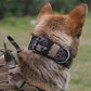 DogForce™ : La solution incroyable pour un dressage efficace et en douceur - TOUTOU VOYAGEUR