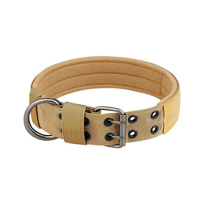DogForce™ : La solution incroyable pour un dressage efficace et en douceur - TOUTOU VOYAGEUR