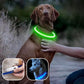 DogShiny™ collier lumineux LED pour chien : être un phare dans la nuit! - TOUTOU VOYAGEUR
