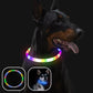 DogShiny™ collier lumineux LED pour chien : être un phare dans la nuit! - TOUTOU VOYAGEUR