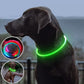 DogShiny™ collier lumineux LED pour chien : être un phare dans la nuit! - TOUTOU VOYAGEUR