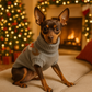 Pull NOEL pour chien Christmas | CozyPull
