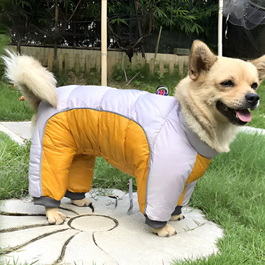 Manteau pour chien |  RetroDoggy