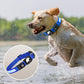 Collier Gps pour chien sans abonnement | GpsLightDoggy